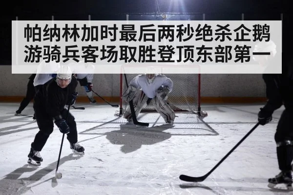 ice hockey game action