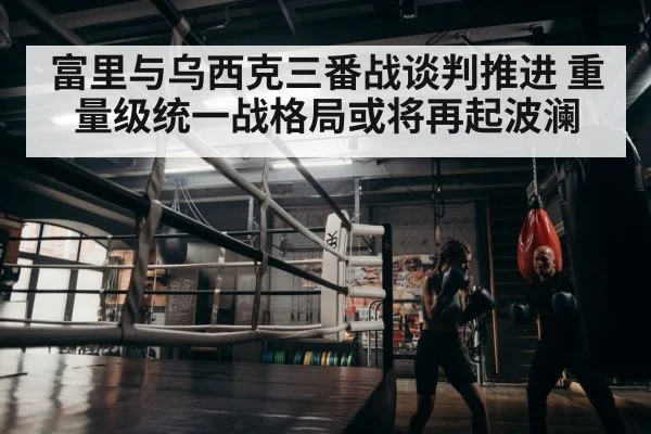 boxer training gym
